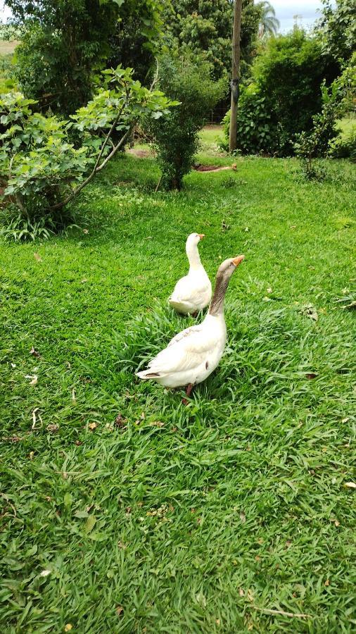 Willa Casa De Campo - Sitio Santana Dos Laranjais Brotas Zewnętrze zdjęcie